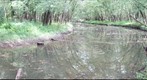  Fourpole Creek (west end)