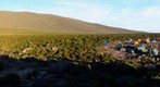 Kilimanjaro: Shira plains camp - Lemosho route