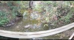 Ritter Park on Fourpole Creek