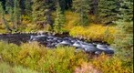 Hyalite Creek in the morning