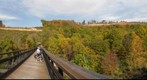 Clearcut trees on Pinkerton Horn, along Great Allegheny Passage bike trail