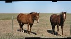 On the way to the Feris Caves In Ellsworth County, KS
