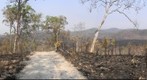Mareeba 2011 september