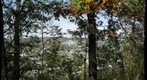 Rotary Park Overlook
