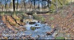Abe's Creek on October 17, 2011