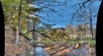 Abe's Creek Downstream