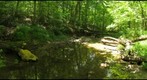 Abe's Creek Downstream Summer 2011