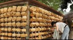 Meiji Shrine's prayers