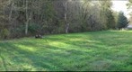 Church Watershed Site