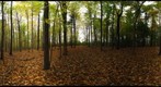 Dairy Bush GigaPan - 112 - October 19 2011