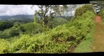 Kuilau Ridge Trail 360