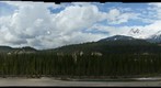 Jasper in early spring