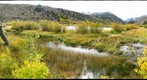 Beaver Works