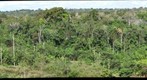 Primary Forest and Farmland in Southeastern Peru