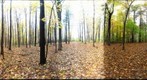 Dairy Bush GigaPan - 113 - October 26 2011