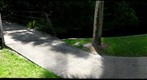 Florida Swimmin' Hole, Rock Springs, Kelly Park, near Orlando, 360 pano, swimming area middle of the run