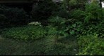 Mount Airy, PA