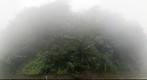 Foggy Weather, Somewhere in North of Iran