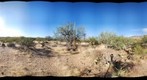 Saguaro National Park 4