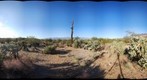 Saguaro National Park 5