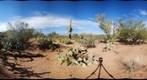 Saguaro National Park 1
