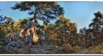 Dusk in the forest - Kutahya / Turkey