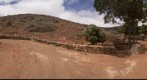 Pinar de Betancuria, Betancuria. Isla de Fuerteventura
