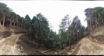 岡山県:西粟倉村:22番団地:林道(10/29)