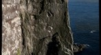 Latrabjarg bird cliffs, Iceland
