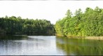 Route 104 Bridge (wide shot)