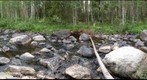 Mattjokkbäcken ReRestored
