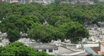 "Day of the Dead" Saint Isabel Cemetery in Brazil 2Nov2011