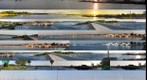 Sag Harbor panoramas,Hamptons, New York