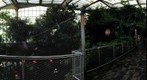 Wetlands exhibit, National Aviary, Pittsburgh, PA