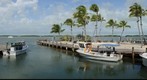 Islamorada Fish Company - First attempt on a windy day.  See Image taken on October 6, 2012