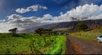 Piilani Hwy