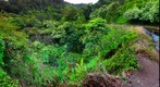 Hana Highway near Papaaea Reservoir