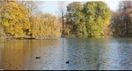 englisher garten, Munich