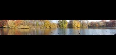 91666-400x189