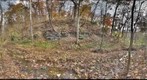 Frick Park Stream