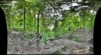 Panther Hollow Stream