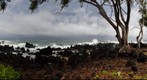 Mokuhala