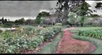 Rosedal Buenos Aires