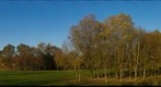 Lac de Vaivre - 10 novembre 2011