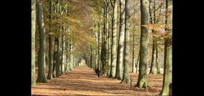 91908-400x189