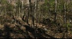 Red Ash, WV Mining Community
