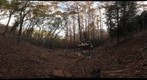 TreeHouse of Natural Environmental DesignStudio in Chichibu