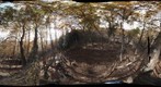 GigaPan on the Tree in Chichibu