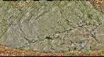 Herbeumont - Lingle (1)