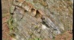 Herbeumont - Lingle (2)